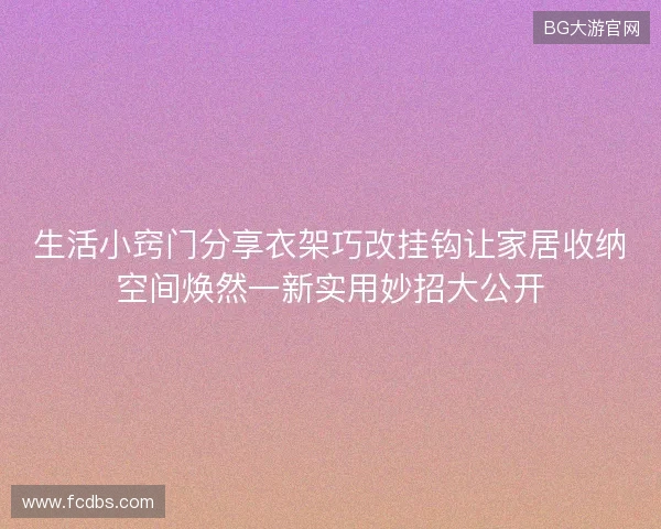 生活小窍门分享衣架巧改挂钩让家居收纳空间焕然一新实用妙招大公开